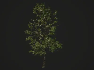 Realistic Tree 3D model Low-poly 3D model Low-poly 3D model