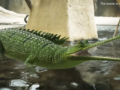  Indian Gharial Crocodile Green Rigged for Cinema 4D 