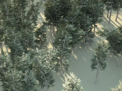 Conifer Forest 3d exterior  scene Low-poly 3D model