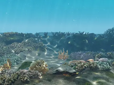  Underwater Coral Reef Habitat Ocean V3 