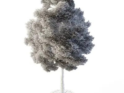 Small Leaved Lime Tree 4 Low-poly 3D model