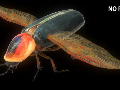  FireFly Bug 
