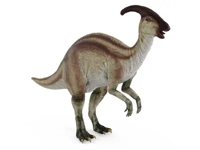 Parasaurolophus Dinosaur Rigged for Maya 