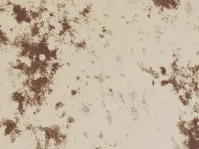 Oxidized Rusty Gold PBR Seamless Texture