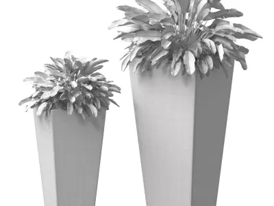 Decorative Plant Spathiphyllum in a modern pot RH ArtDeco 3D model
