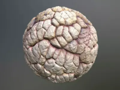 Material Skin Monster 40 Seamless PBR Texture Texture