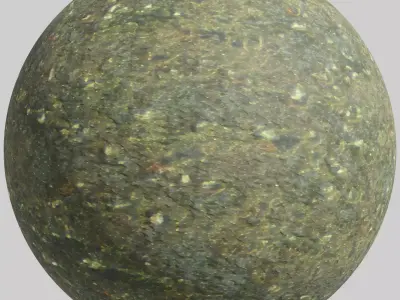 Forest path - 4K PBR BRDF material Texture