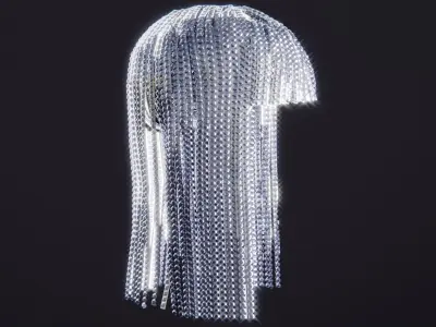 Diamond Wig 3D model