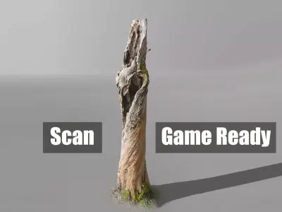 Tree dead 03 Scan  Free low-poly 3D model