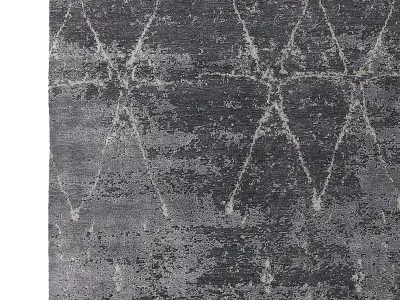 SAVONA HAND-KNOTTED WOOL SILK RUG B 3D model