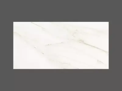 Calacatta Warm White Marble Texture  Texture