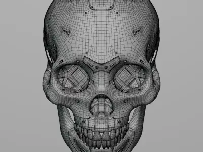Robot Cranium 3D model