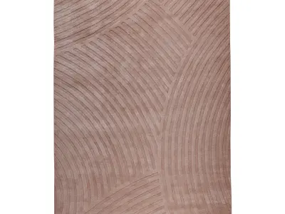 Sono Salmon 3D model