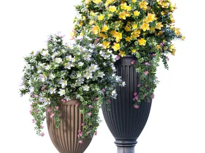 Bouquet of white and yellow Petunia flowers in pots urns vases 3D model