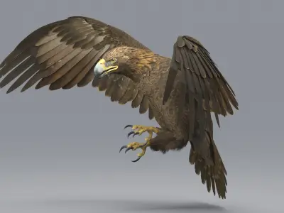  Golden Eagle Animated 