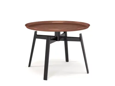 Husk Table 3D model