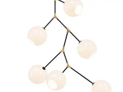 Branch Atom 3D model