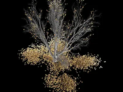 Maple tree-Fall and winter 3D model
