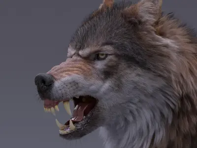  Gray Wolf Rigged 