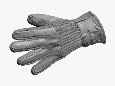 Old Winter Glove 02 RAW SCAN 3D model