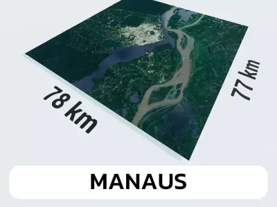 Manaus Brazil City Landscape 3D Model 3D model