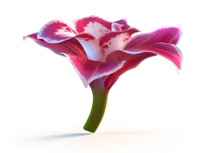  3D Flowers Collection – High-Quality 4K PBR Asset Pack 