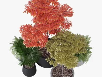 Pottery pots 3D model