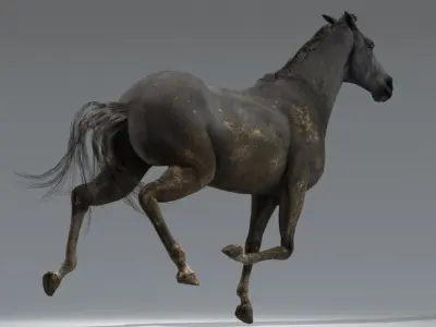  Horses Animated 