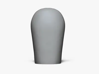  Anatomy of a Vagina for Study 