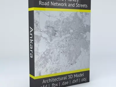 Ankara Road Network and Streets 3D model