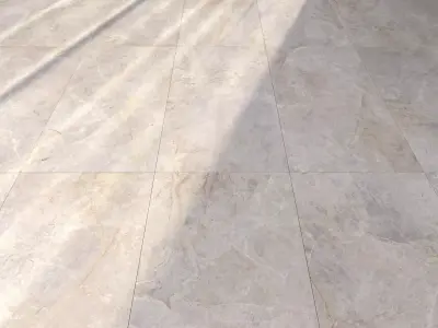 Marble Floor Amazon Bone Texture