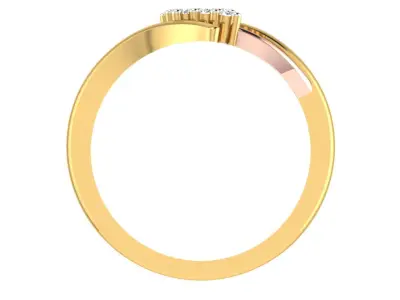 Women Ring  Render 3dm STL OBJ FBX Details 3D print model 20