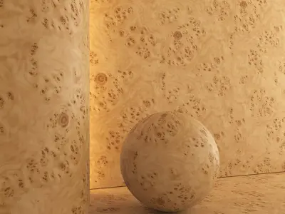 Birch Burl wood material 01 Texture