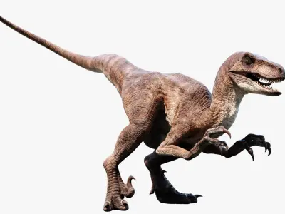  Velociraptor 