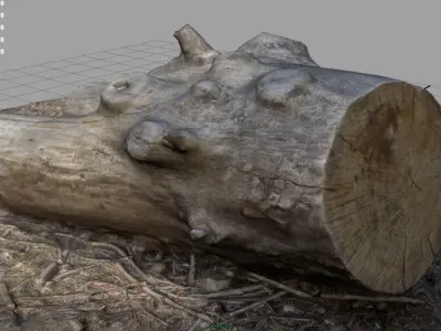 Dead trunk 4 Low-poly 3D model