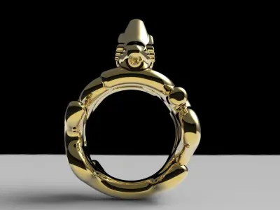 The Bird Ring 3D model