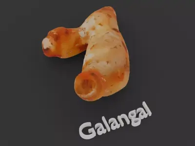 Herbal Root Collection 3D model