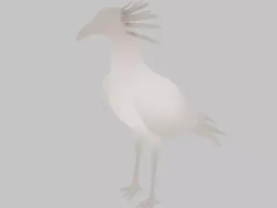 Indirect Lighting for Secretarybird 3D model