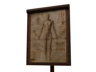 Low Poly Ancient Anatomy Study Board Malbert Low-poly 3D model