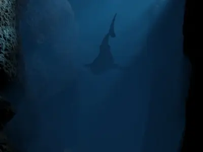 Ocean Trench Environment 3D model