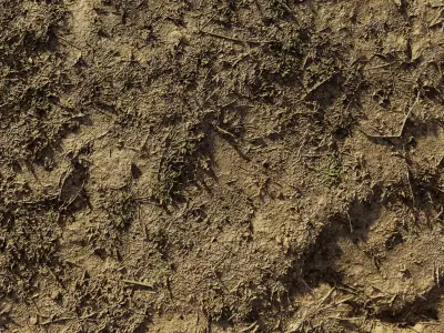 autumngrassdirt06102024 3D model