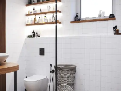 Toilet Black and White 3D Scenes 3D model