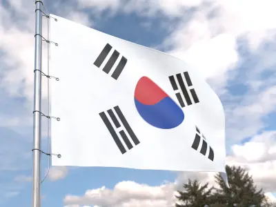 Flag South Korea animated loop 3D model