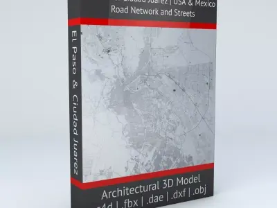 El Paso and Ciudad Juarez Road Network and Streets 3D model