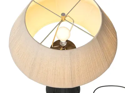 Totora Table Lamp by CB2 3D model