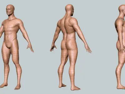 Male BaseMesh  - Topology + UV Map