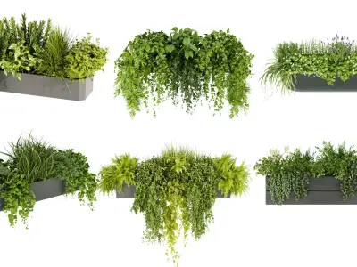 Collection plant vol 01 balcony  3D Model Pack