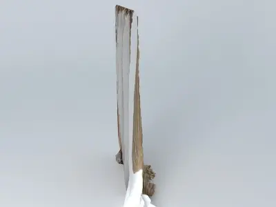 Cortina drag 3D model