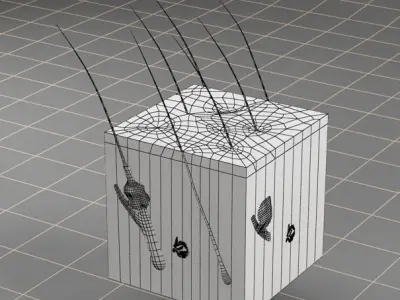 Anatomy skin 3D model