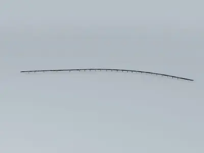 Servia bridge 3D model
